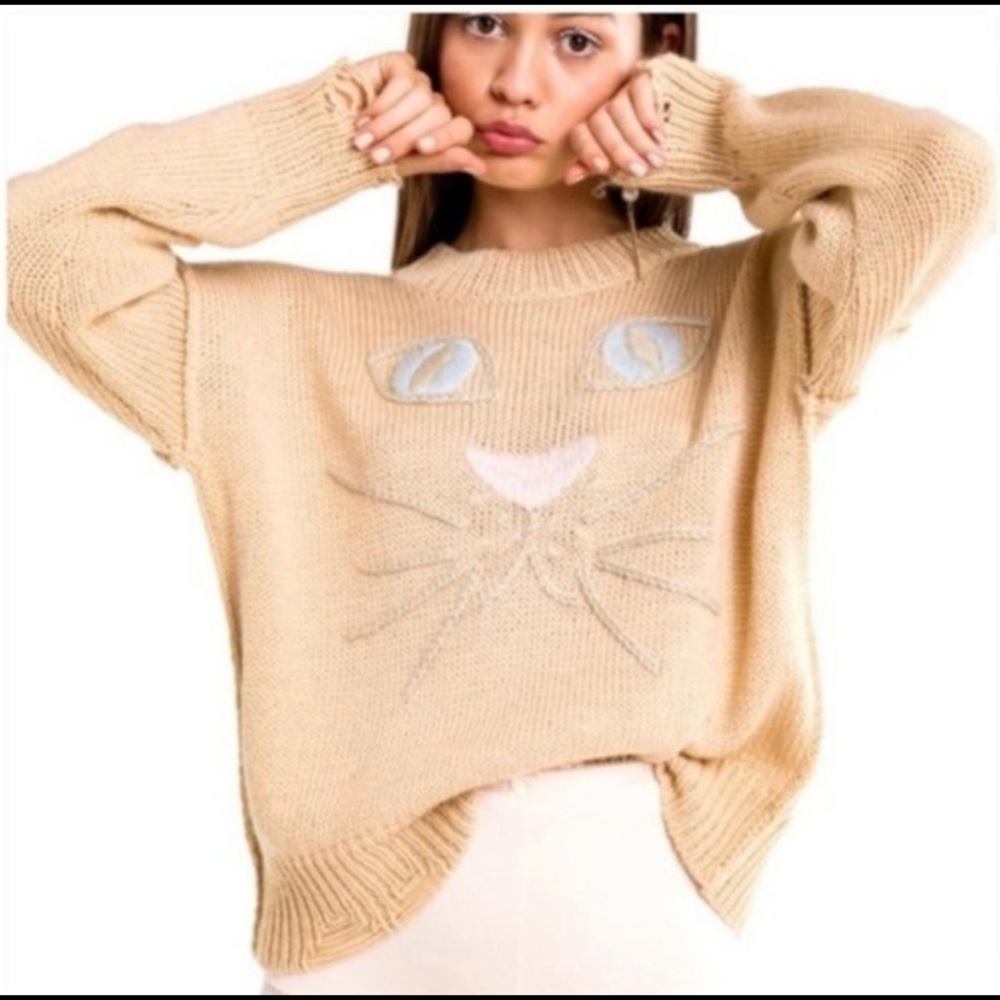 WILDFOX Cat Face Whiskers Sweater Color is “brut peach”. Size Medium